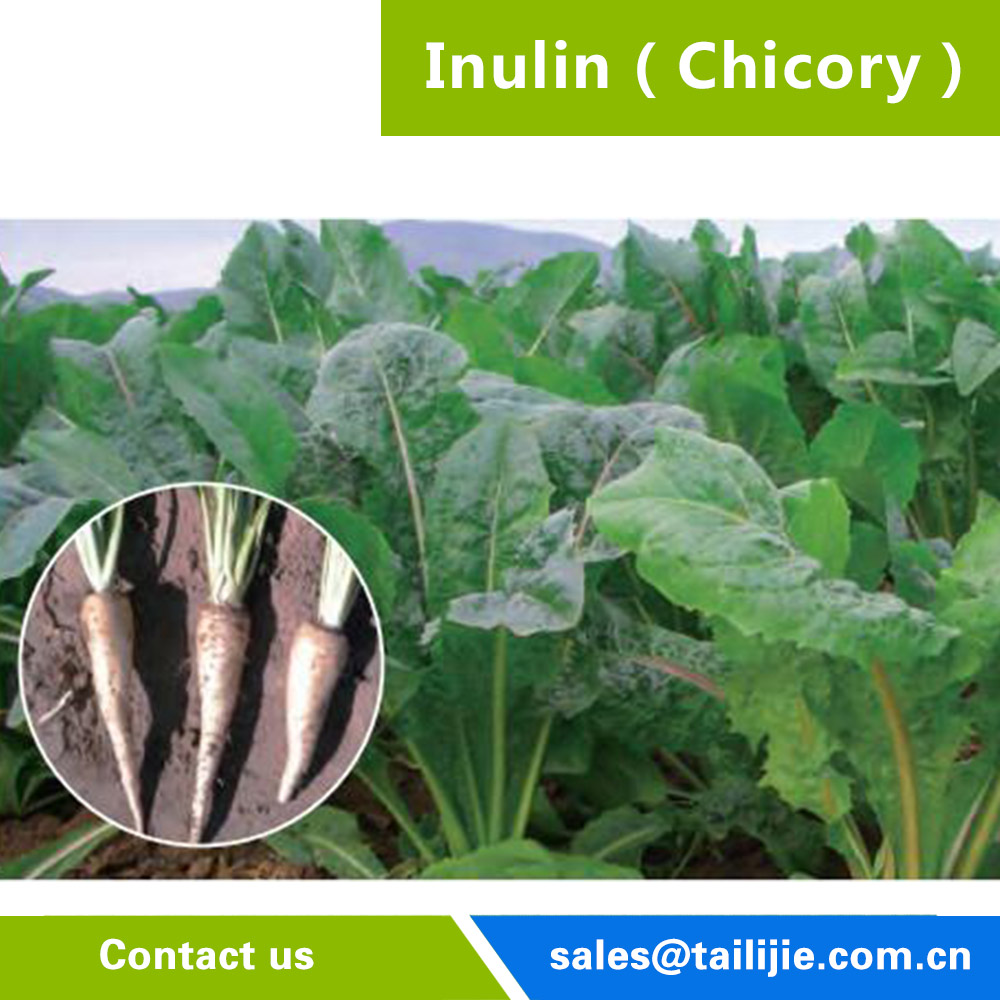 Inulin（chicory）